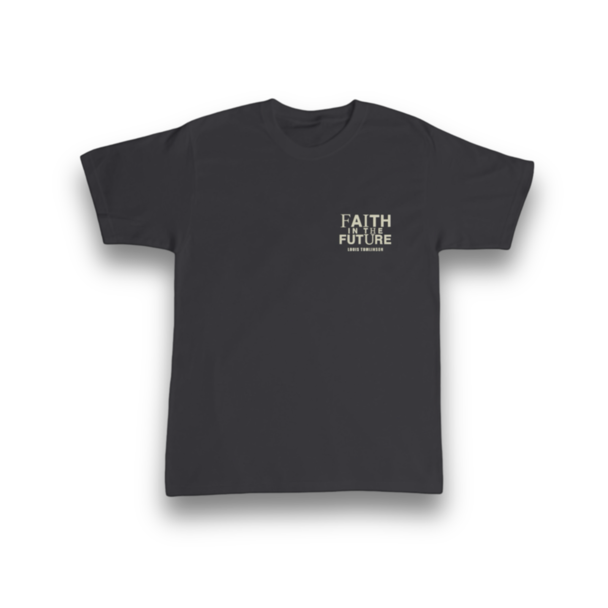 IMG_3781 Louis Tomlinson t-shirt