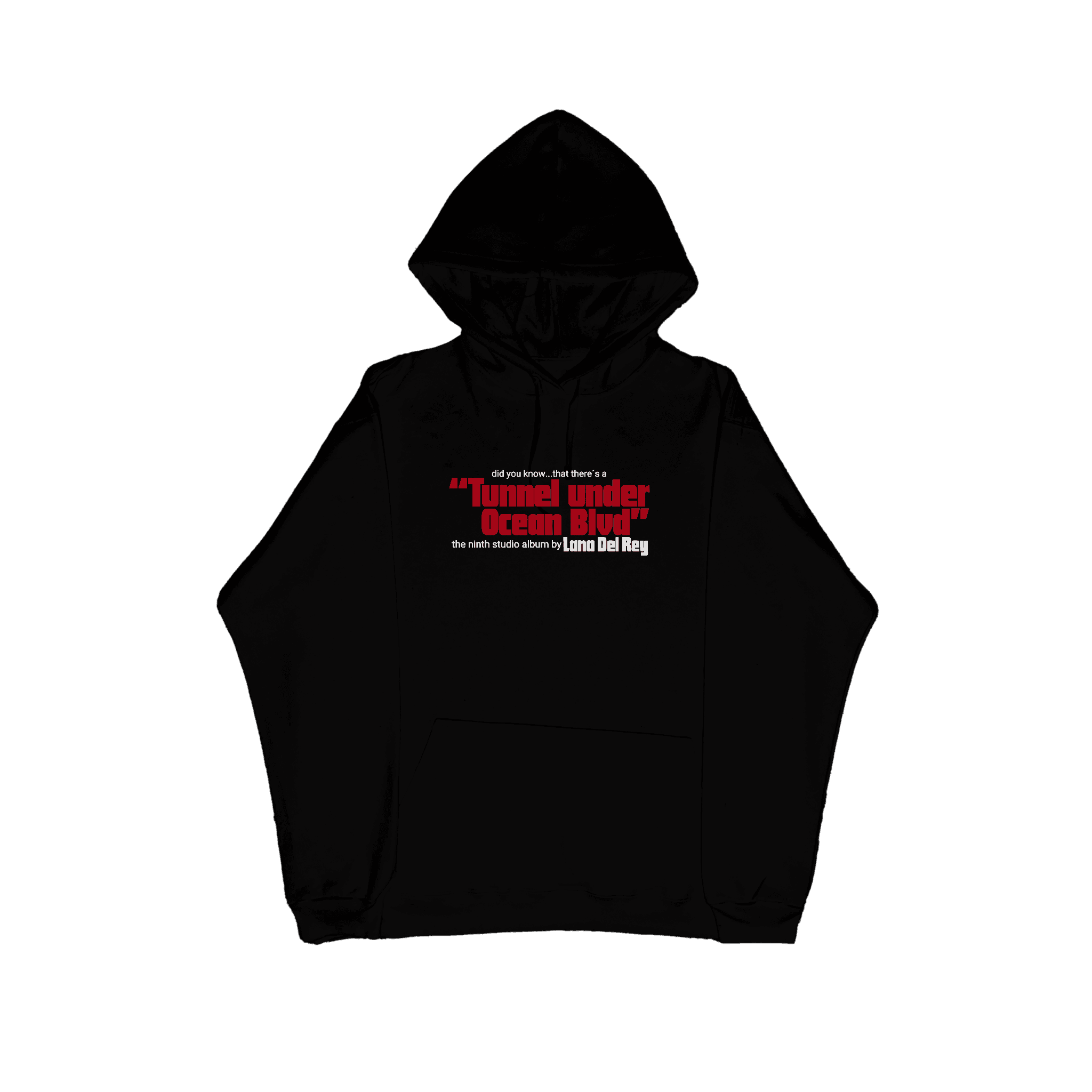 IMG_7261 Ocean Blvd hoodie
